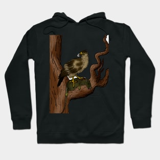 Garganoaetus Hoodie